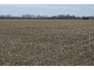 Property photo 4 - 173 +/- Acres Offered in 3 Tracts - Ohio Farmland